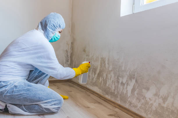 Best Mold Odor Removal Services  in Richmond, CA