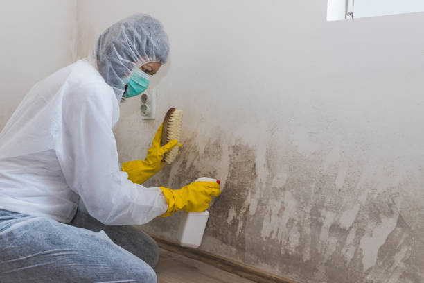 Best Airborne Mold Testing  in Richmond, CA