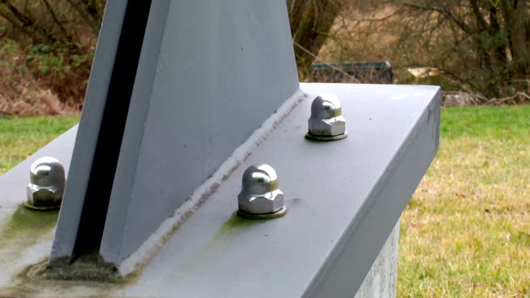 Best Attic Mold Removal  in Richmond, CA